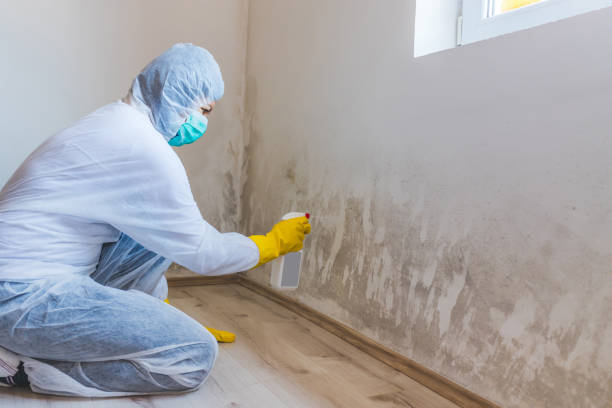 Licensed Commercial Mold Remediation service in Middleton, MA - WQB Mold Removal