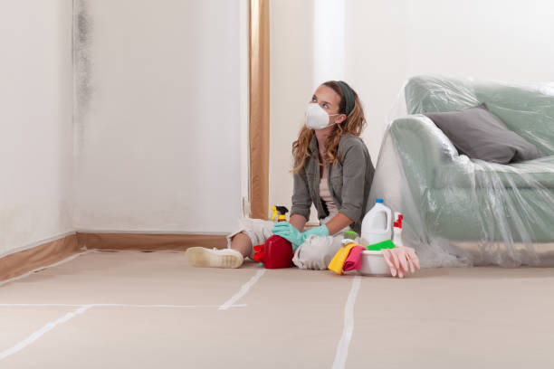 Reliable Commercial Mold Remediation contractor in Middleton, MA by WQB Mold Removal